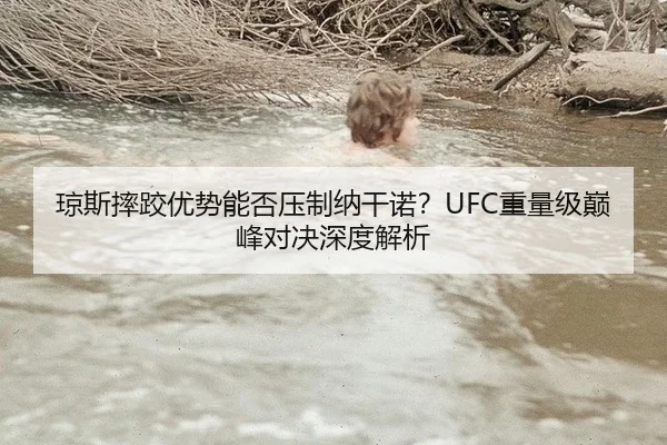 琼斯摔跤优势能否压制纳干诺？UFC重量级巅峰对决深度解析