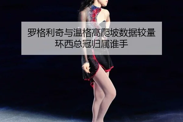 luo-ge-li-qi-yu-wen-ge-gao-pa-po-shu-ju-jiao-liang-huan-xi-zong-guan-gui-shu-shui-shou-3-844.jpg