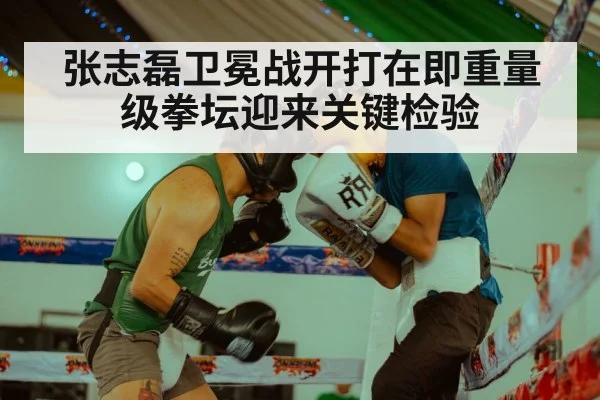 张志磊卫冕战开打在即重量级拳坛迎来关键检验