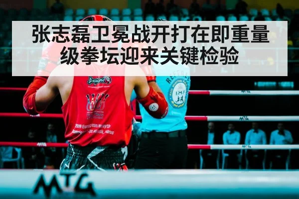 boxing ring fight