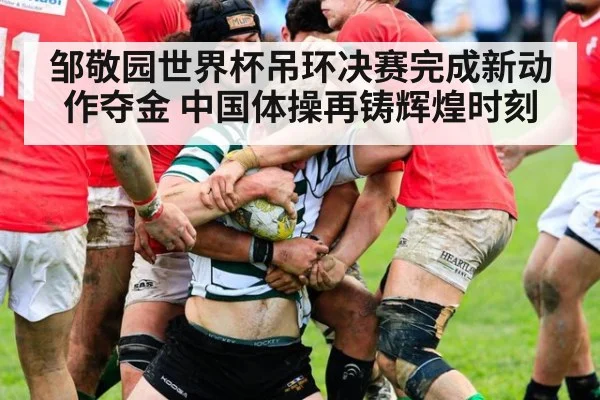 邹敬园世界杯吊环决赛完成新动作夺金 中国体操再铸辉煌时刻